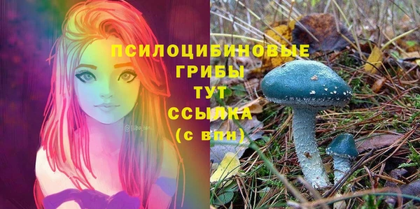 ПСИЛОЦИБИНОВЫЕ ГРИБЫ Абдулино