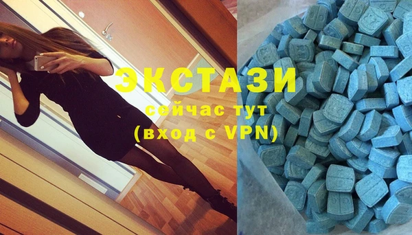 стаф Абинск