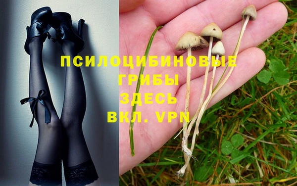 mdpv Алексеевка