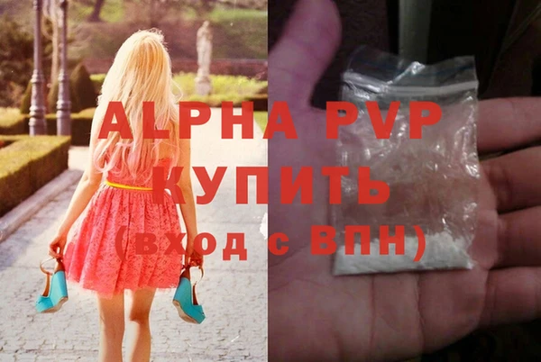 стаф Абинск